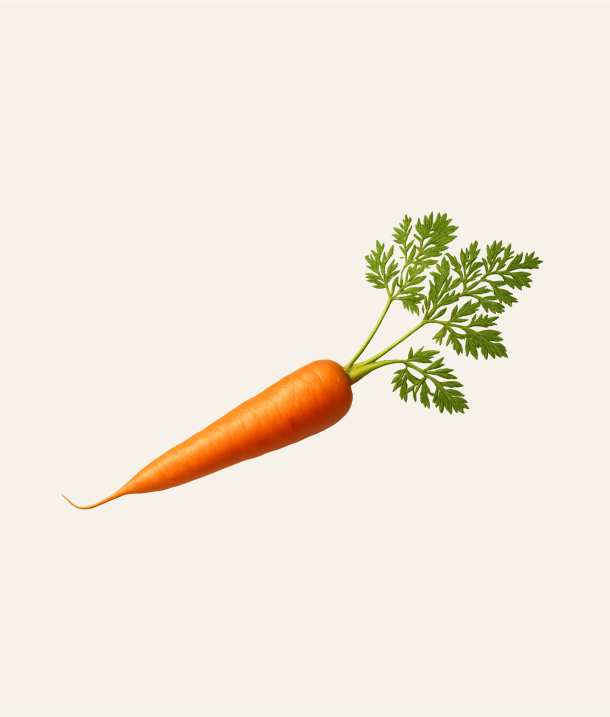 Carrot