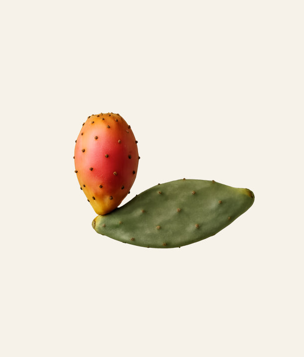 Prickly Pear